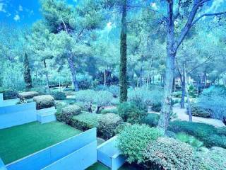 Vistas