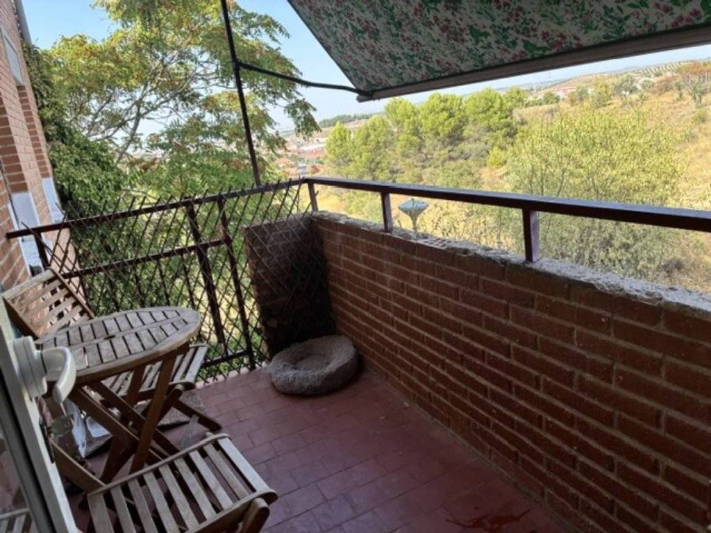 Terraza