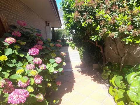 Jardín