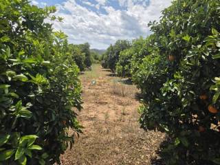 Jardín