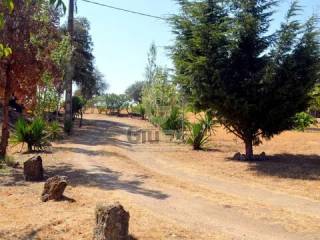 Jardín