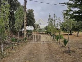 Jardín