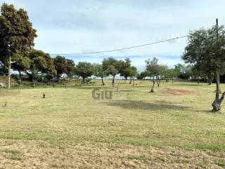 Jardín