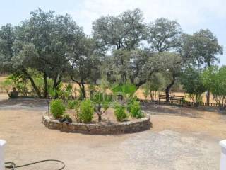 Jardín