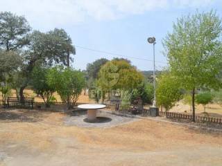 Jardín