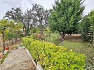 Jardín