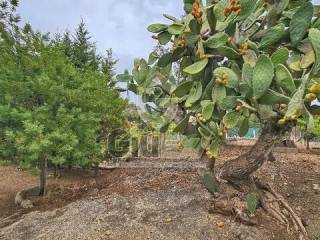 Jardín