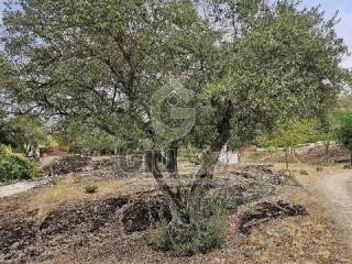 Jardín