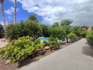 Jardín