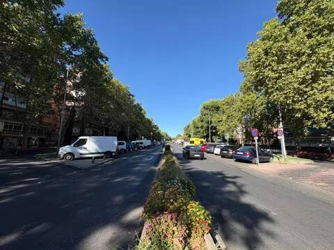 Jardín