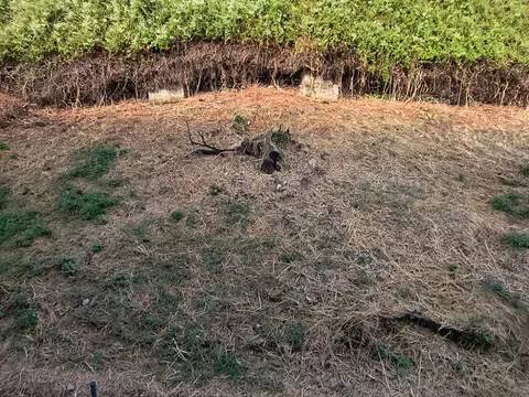 Jardín
