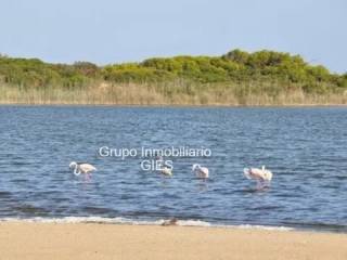 Alrededores