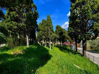 Jardín
