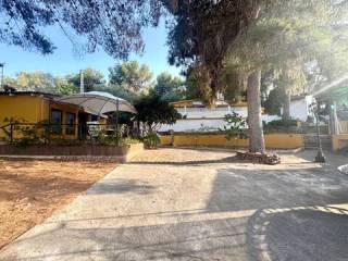 Jardín