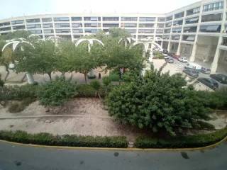 Vistas
