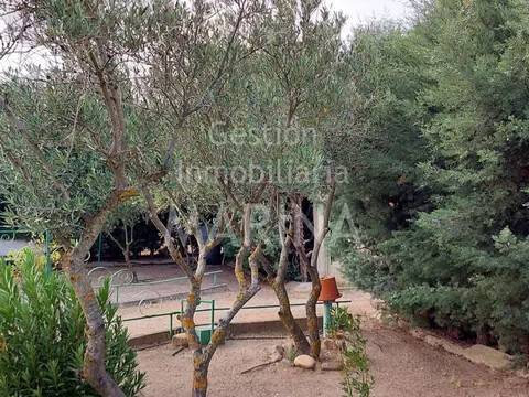 Jardín