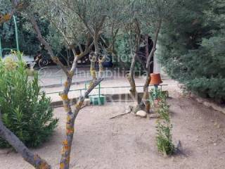 Jardín