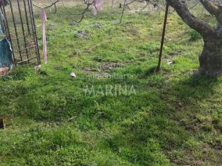 Jardín