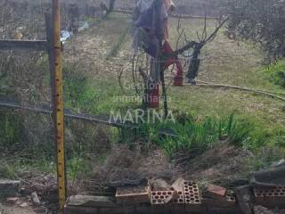 Jardín