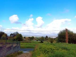 Vistas