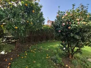 Jardín