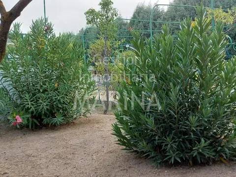 Jardín
