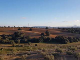 Vistas