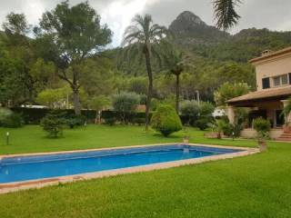 Vistas