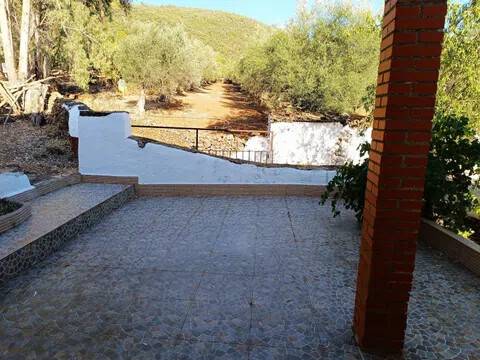 Terraza