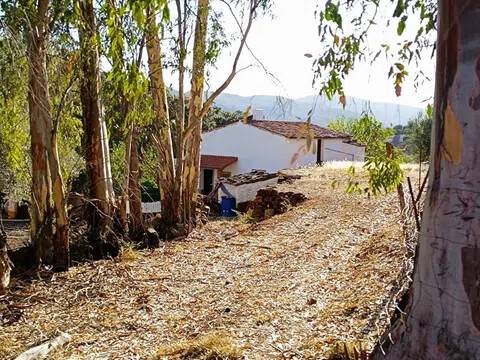 Jardín