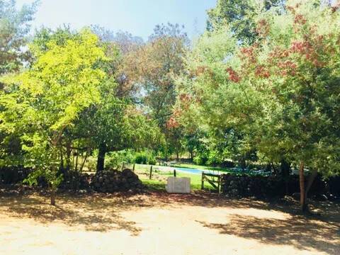 Jardín
