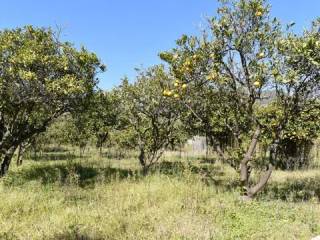 Jardín