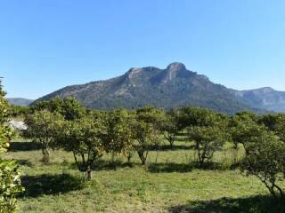 Alrededores