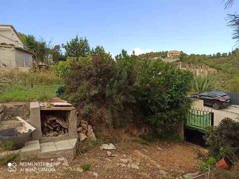 Terreno