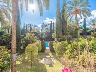 Jardín