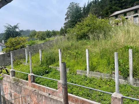 Jardín
