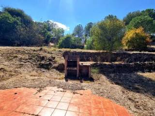 Jardín