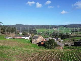 Vistas