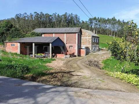 Entrada/salida