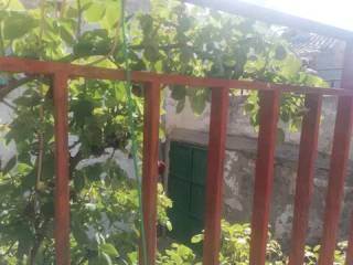 Jardín