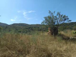 Vistas