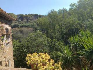 Vistas