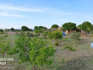 Jardín