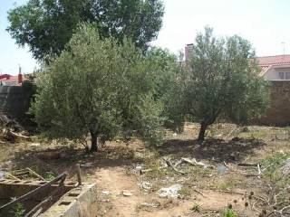Jardín