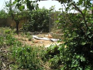 Jardín