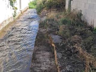 Jardín