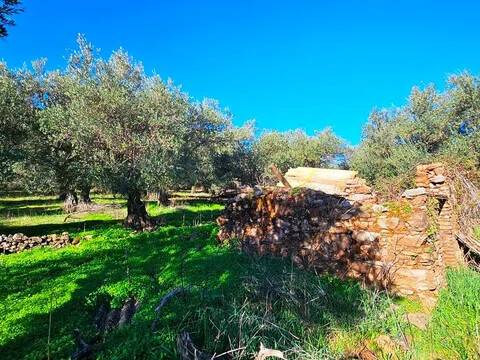 Terreno