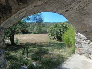 Vistas