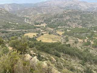 Vistas