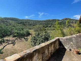 Vistas